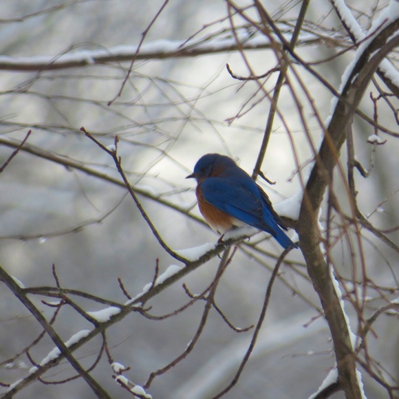 Meet your Posher, Karla - Picture 1 of 1